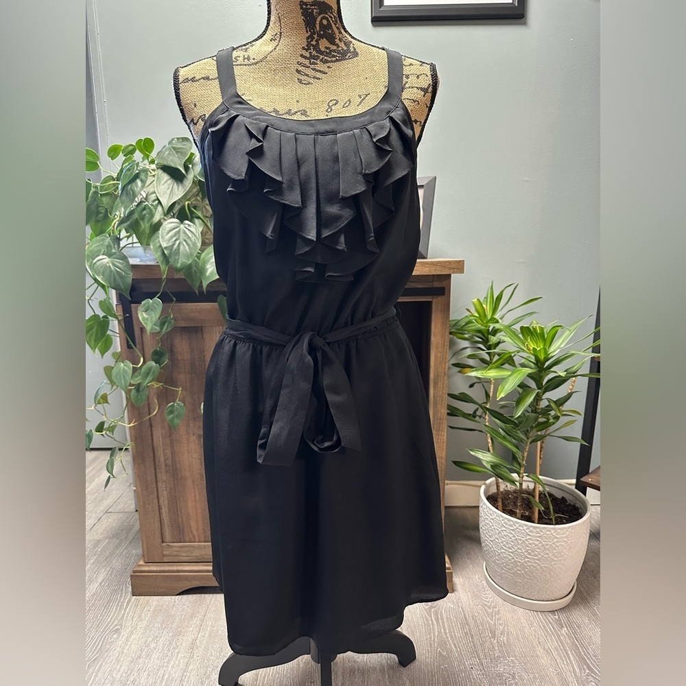 Express dress with elastic waist (and belt). Also has pockets. Size small.